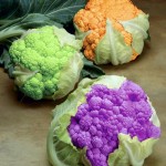 Cauliflower in secondary colors